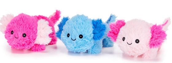 8'' / 22cm Lying Axolotl Soft Toy...Assorted Picked At Random